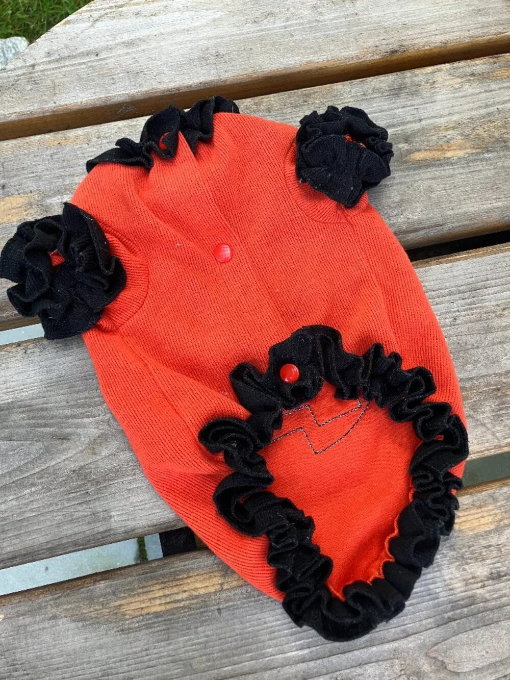 Halloween Jack-O'-Lantern Dog Costume 🎃 Pumpkin Pet Costume Orange & Black Ruff